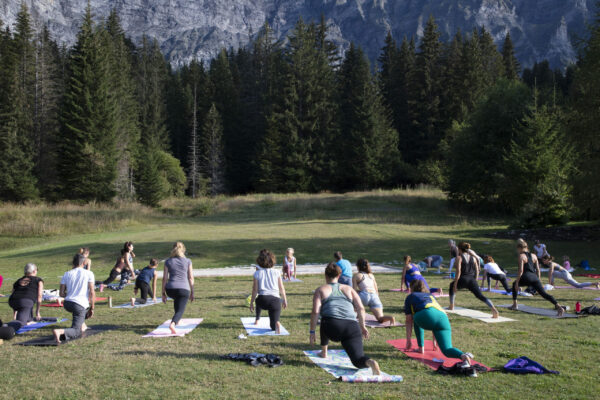 formation et médiation certifié Yoga Alliance