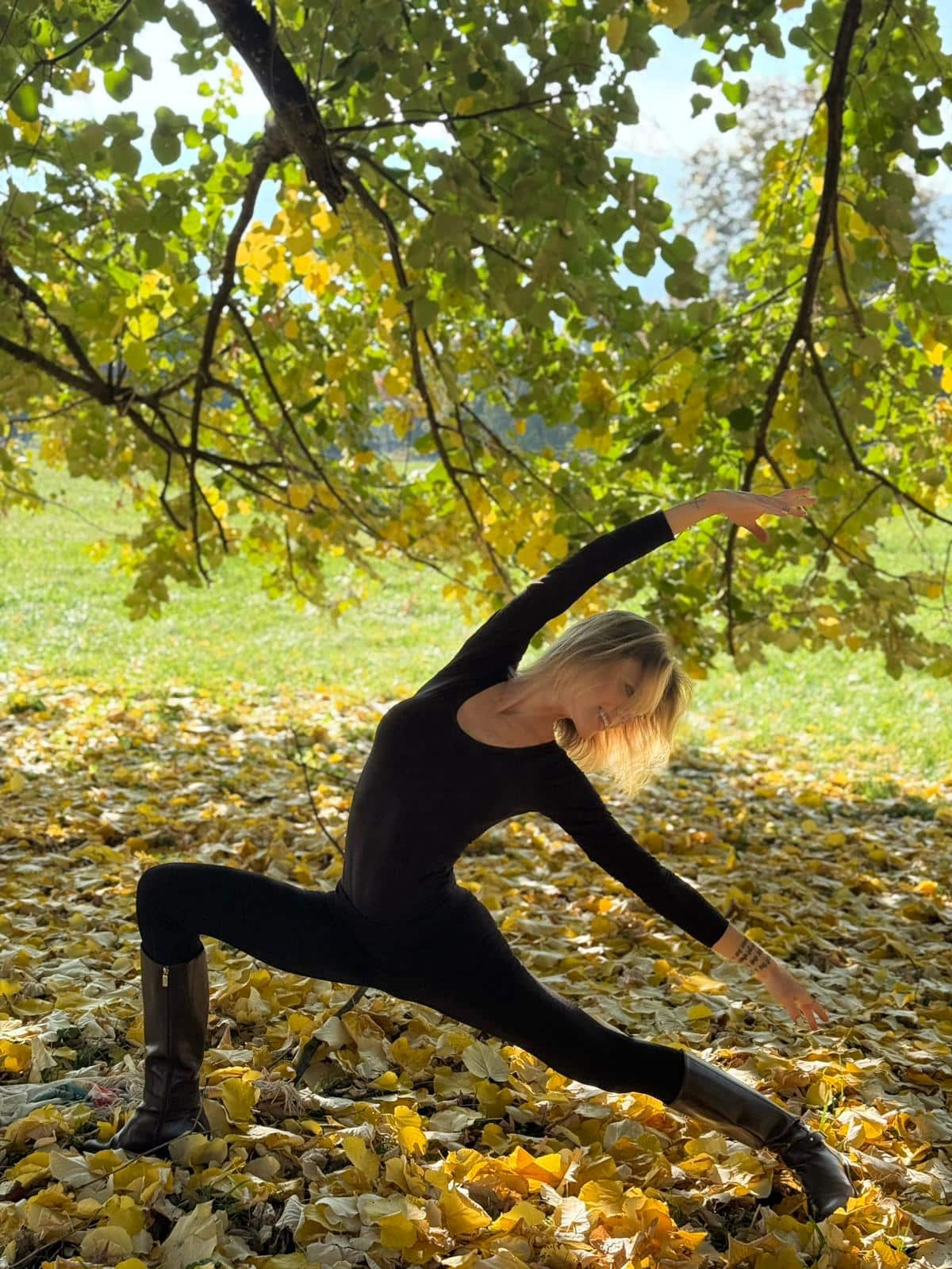 L'art de la transmission